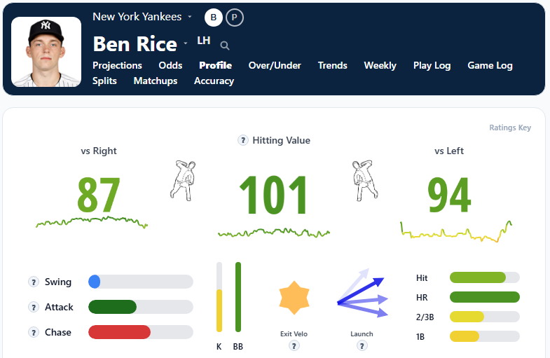 Ben Rice Overview