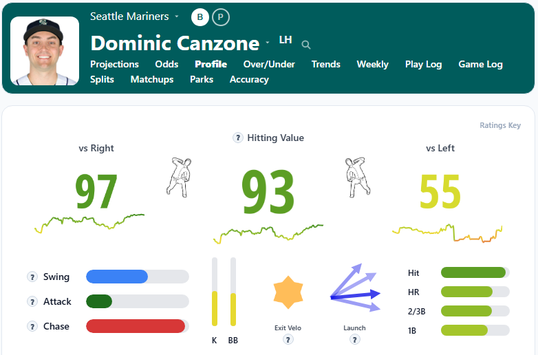 Dominic Canzone Overview