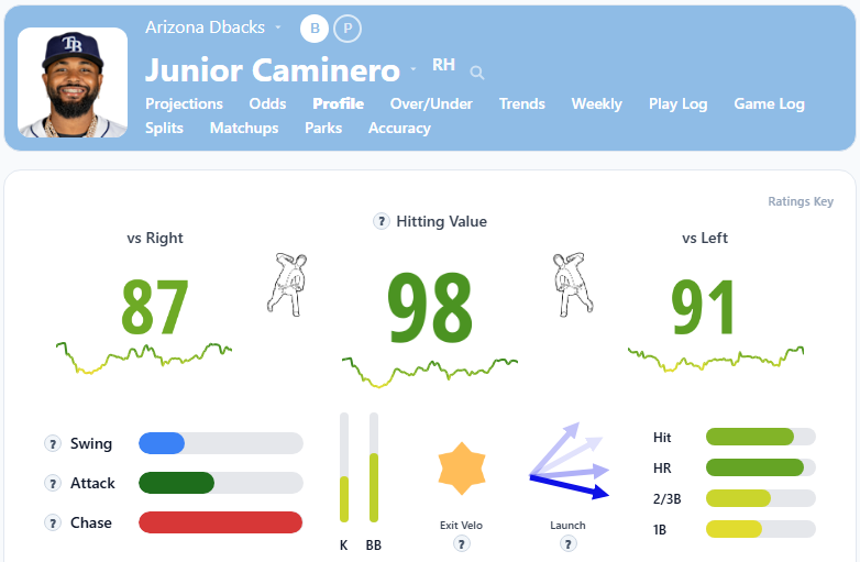 Junior Caminero Overview