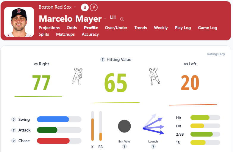 Marcelo Mayer Overview