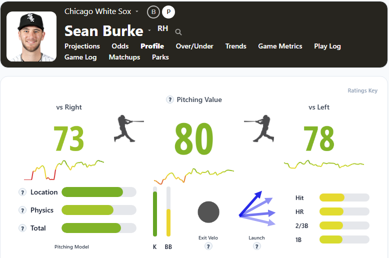 Sean Burke Overview