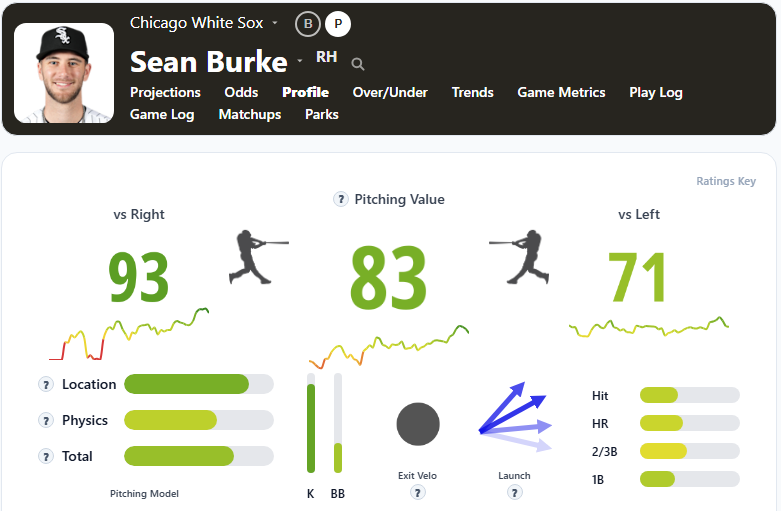 Sean Burke Overview2