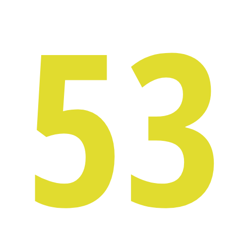 53