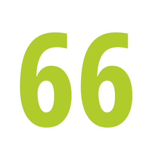 66
